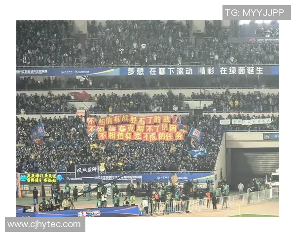 成都足球队在钻石联赛中的拼搏历程与荣耀时刻全景回顾